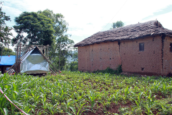 shelter-and-damaged-house