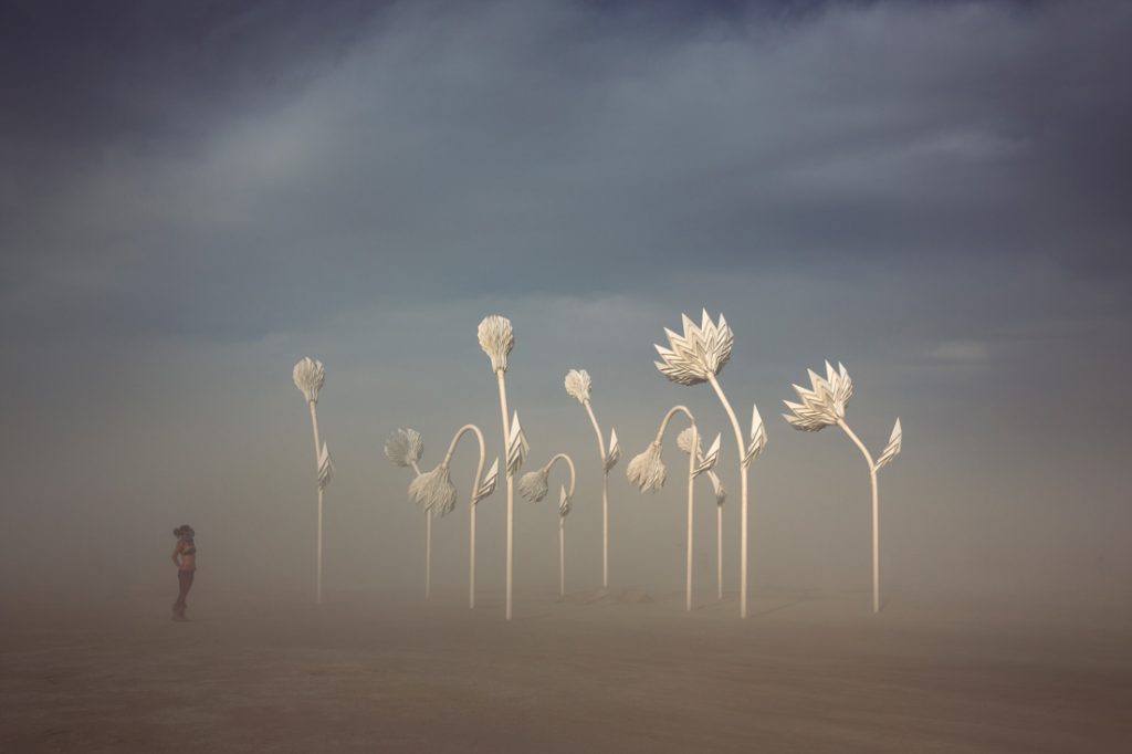 FoldHaus-LUMENous-GARDEN_BLUMEN-LUMEN-Photo-credit-Bill-Hornstein