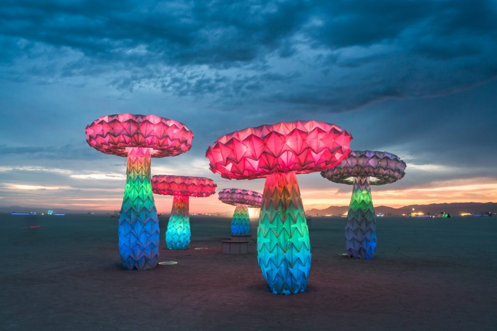 FoldHaus-LUMENous-GARDEN_SHRUMEN-LUMEN-Photo-credit-Rene-Smith