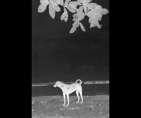 Transmission:LAB