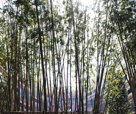 Twelve at Hengshan