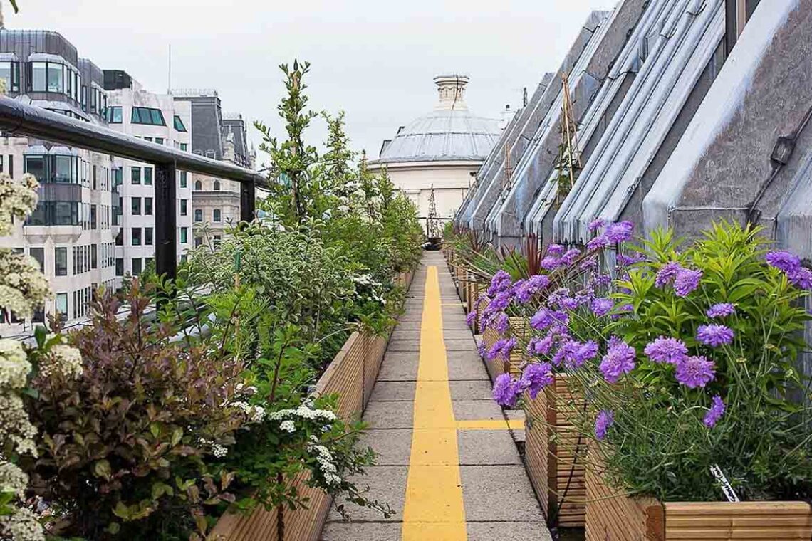 Rooftop Gardens Singapore 5 Best Design Ideas for Your Roof Garden