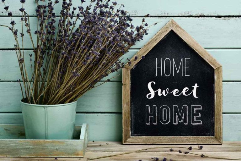 7 Best Housewarming Gifts What is a Good Housewarming Gift?