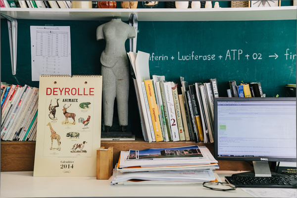 A snapshot of Salad Dressing's office