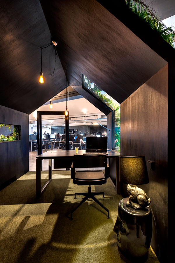 Design-Director's-View