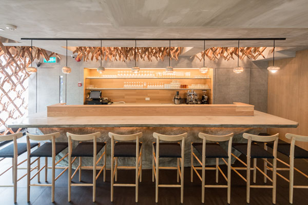 Wild-Rocket-82---bar-counter-top