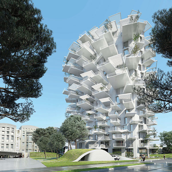 L'Arbre-Blanc_credit_SFA+NLA+OXO+RSI_RENDER_002