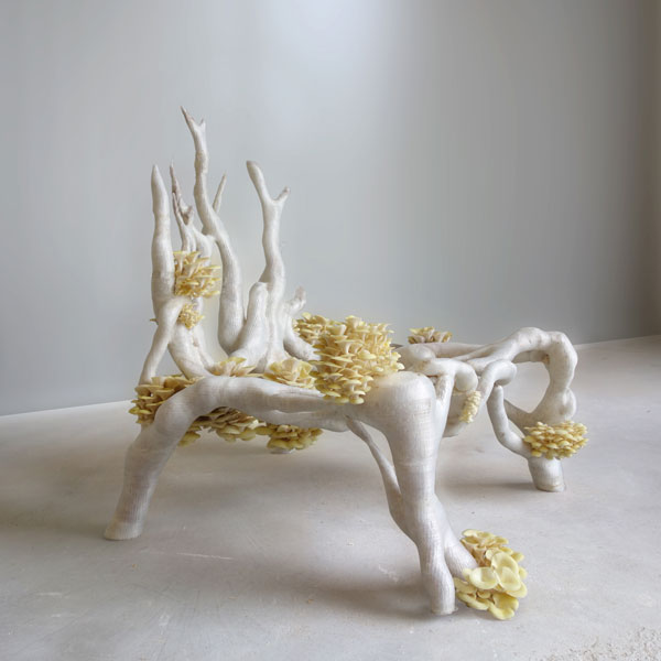 Myceliumchair_Studio_Eric_Klarenbeek-Kopie