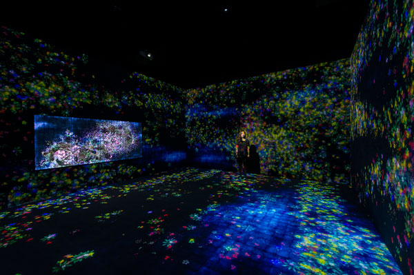 Flowers-and-People,-Cannot-be-Controlled-but-Live-Together-–-A-Whole-Year-per-Year-–-Future-World-at-ArtScience-Museum-(Credit-to-Marina-Bay-Sands)