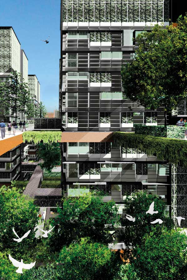 Duxton Plain