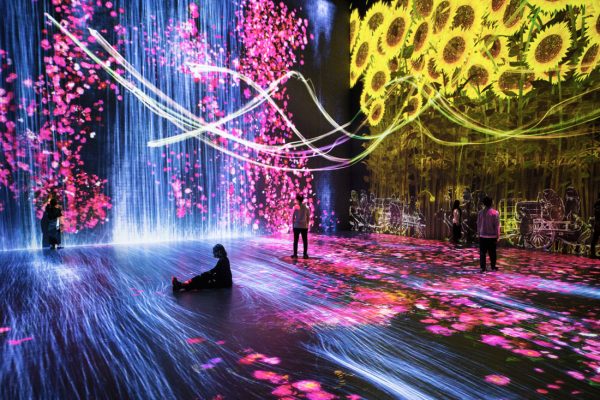 permanent exhibition at artscience museum