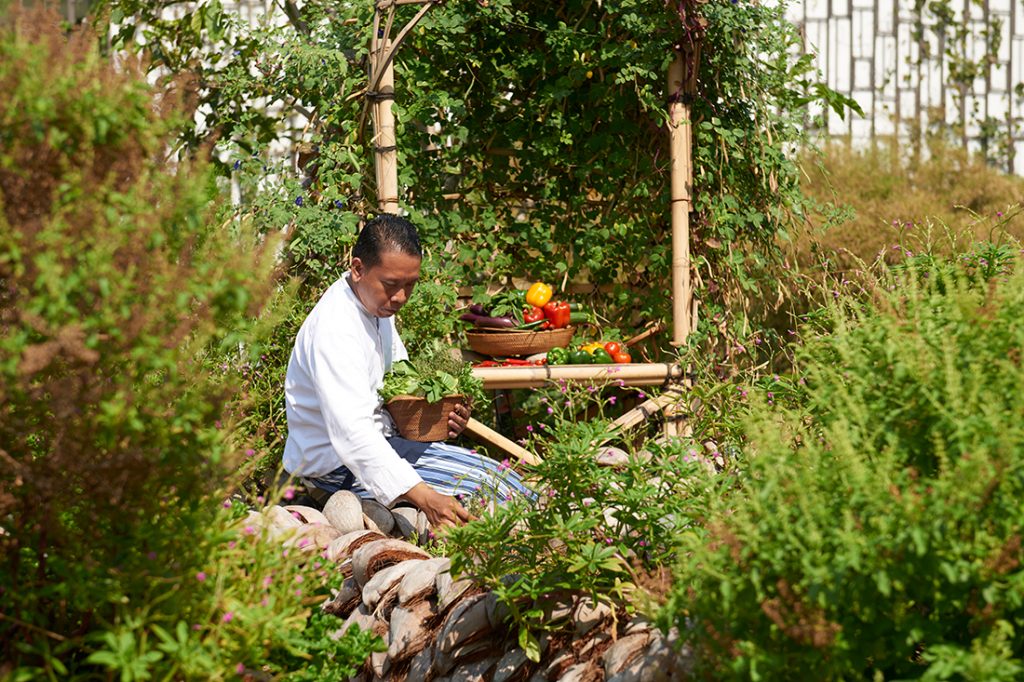 Alila Zero Waste Organic Garden at Alila Sminyak
