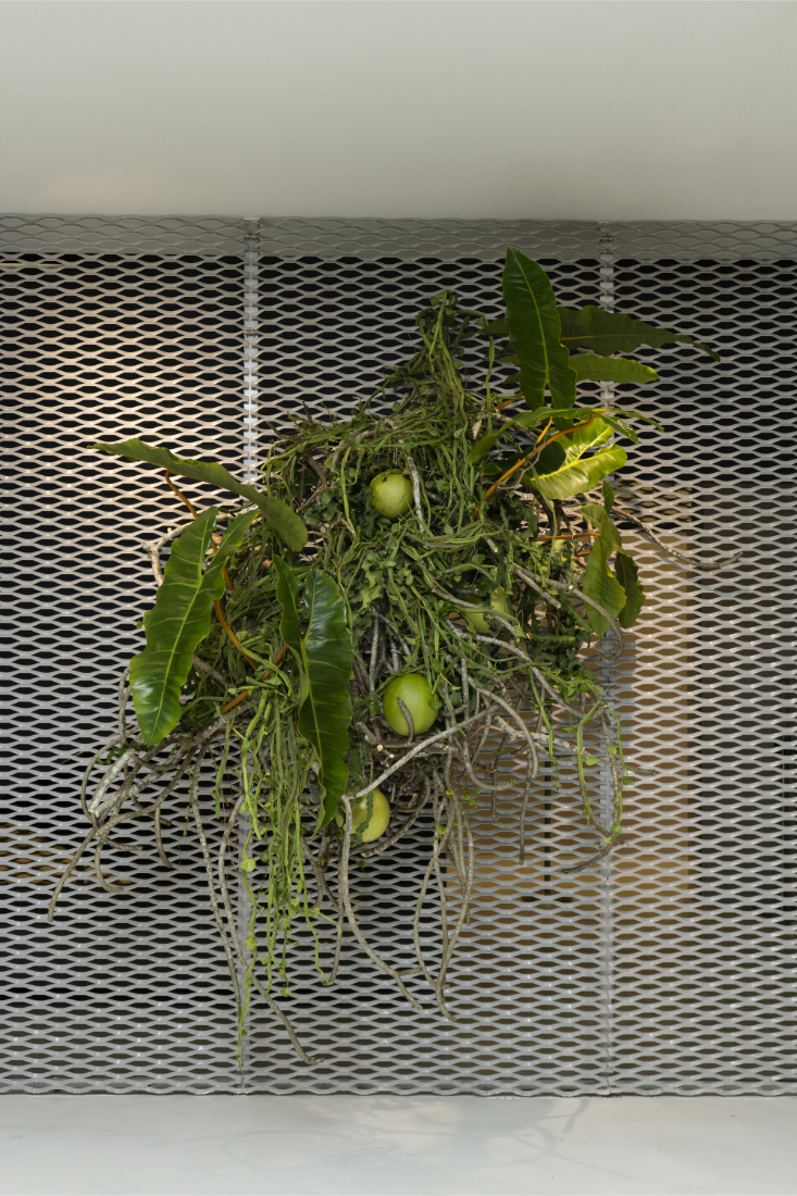 Garden-Dreaming-exhibition-floral-installation-by-This-Humid-House-2