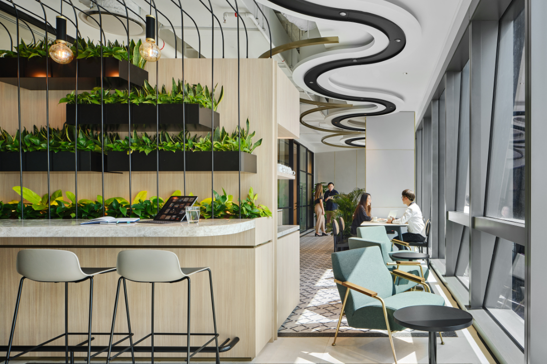 Workplace-design-First-Sentier-Investors-office-by-Woods-Bagot