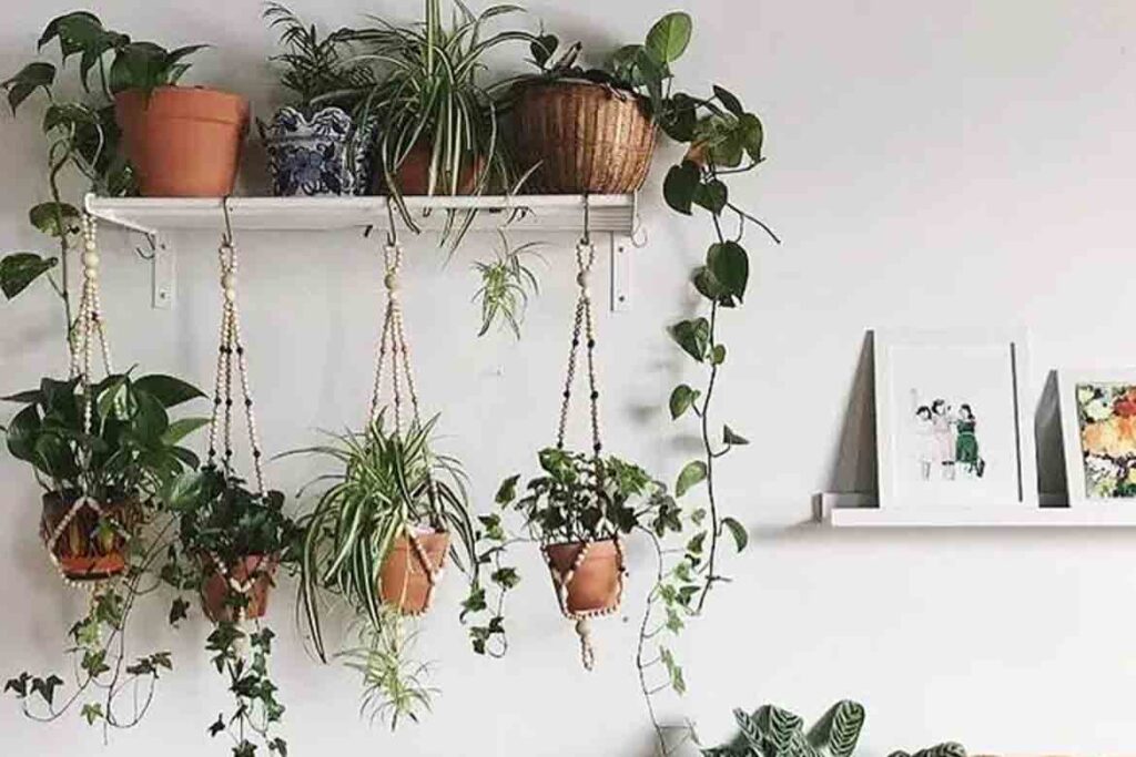 indoor planters ideas pot plants interior design buy online low maintenance cute ceramic hanging plants classy aesthetic