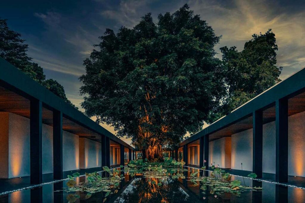 One&Only Desire Coast designing for wellness