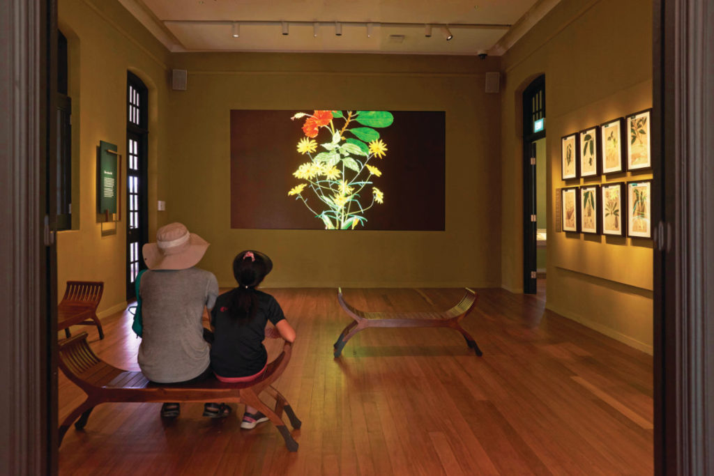 Projection room at the Botanical Art Gallery_Gallop Extension of Singapore Botanic Gardens_Design by GSM Project_Image by L Miotto