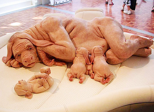 indesignlive.com Special Report: Australian Hyper-Realist Sculptors