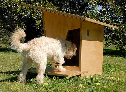 Cool Kennels