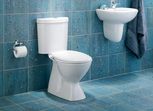 Smartflush Saves on Water
