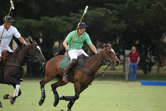 polo_match02