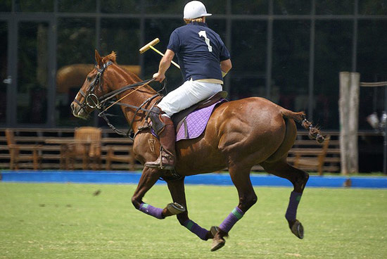 polo_match03