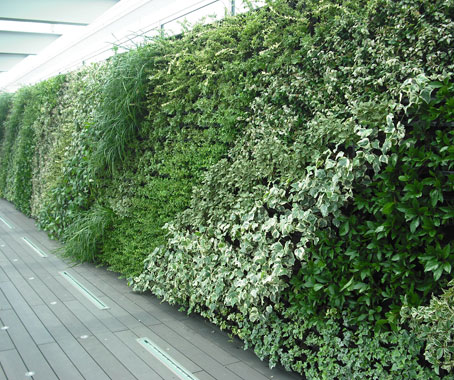 New Way to Green