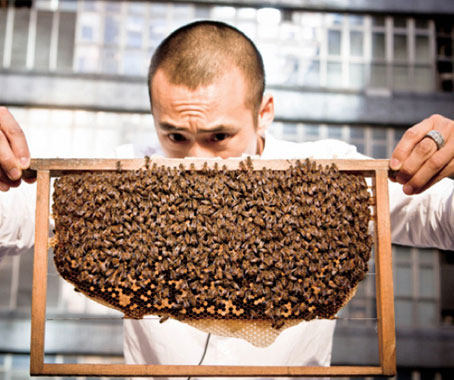 Hong Kong’s Urban Beekeeper