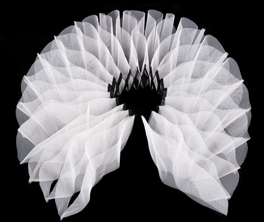 ’Revolutions’ by Elizabeth Delfs