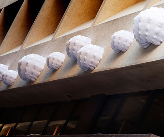 Briggs’ Lanterns