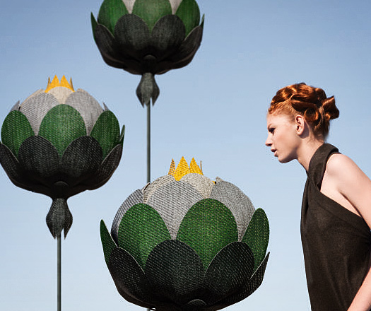bolon botanic collection
