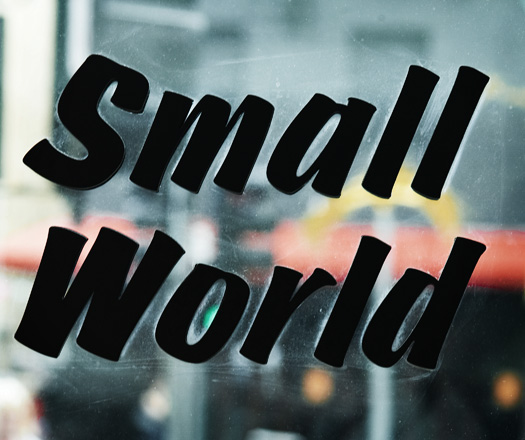 small world foods projects of imagination