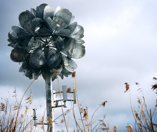 Future Flower by Tonkin Liu