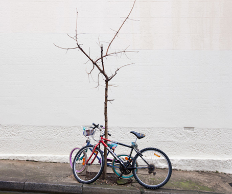 bike rack as art