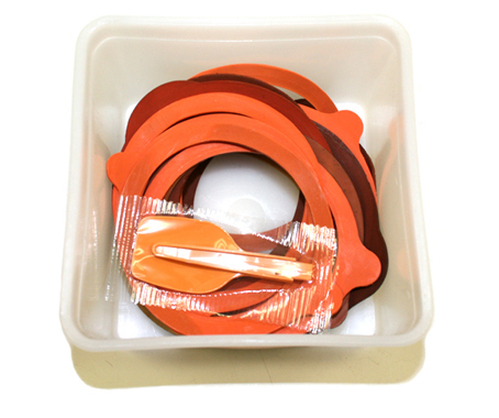 lianne rossler for designer sushi at metalab