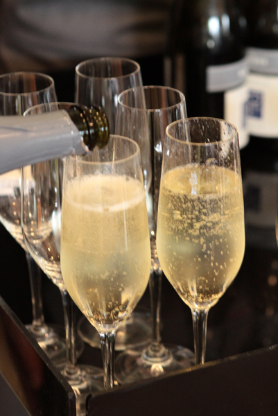 VIC-2010-Spring-Dinner-046
