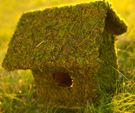 To Build A (Sustainable) Home