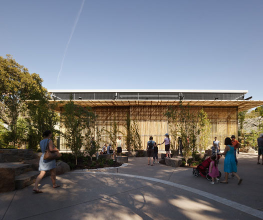adelaide zoo hassell