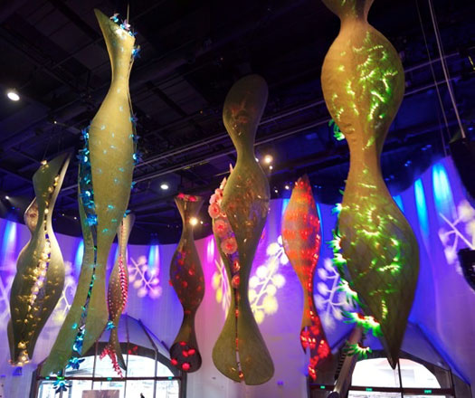 australian pavilion shanghai