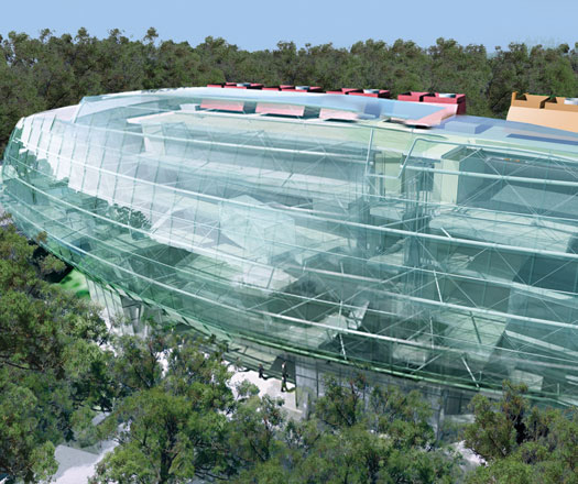 cox rayner griffith university
