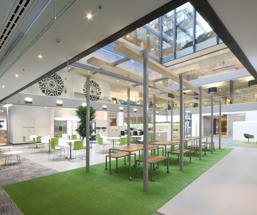 amp designspace