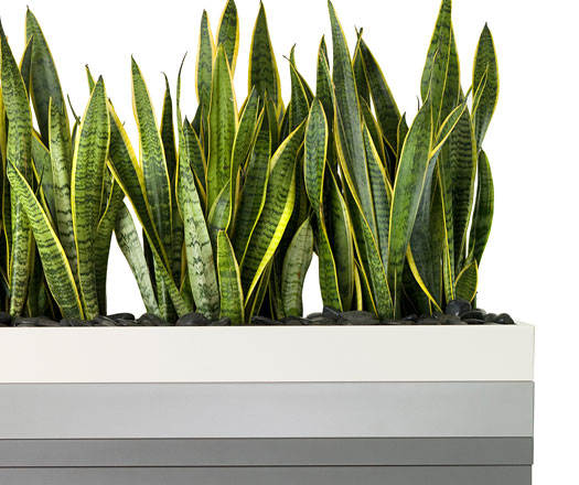 dexion strata 6