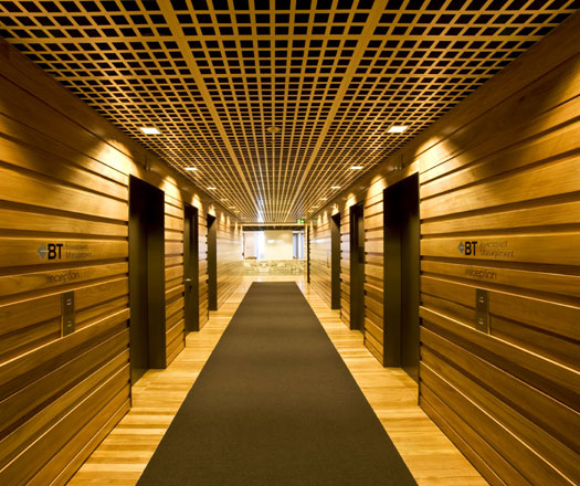 BT Investment by Geyer