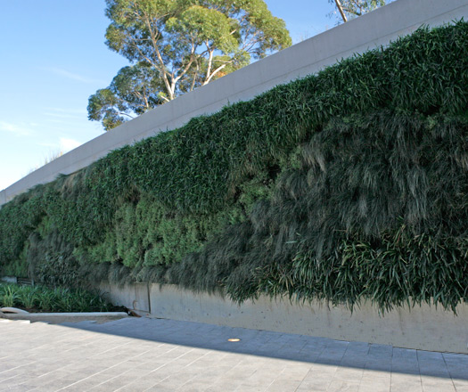 Living Walls at Adelaide Zoo