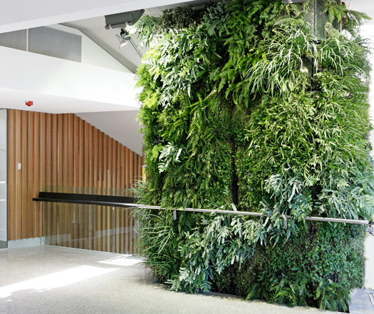 adelaide zoo living wall