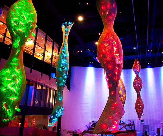 australian pavilion shanghai