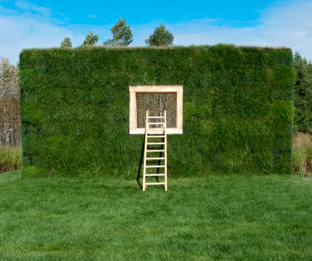 Grass is Greener