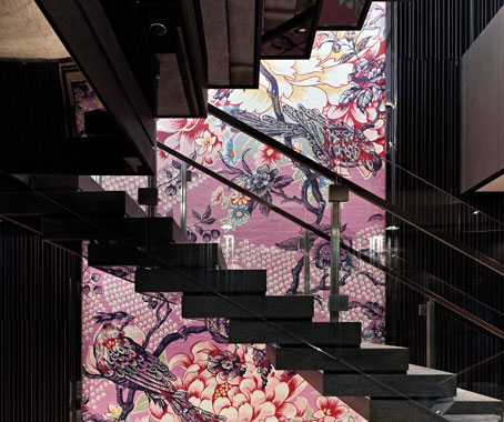 HASSELL Expands International Focus