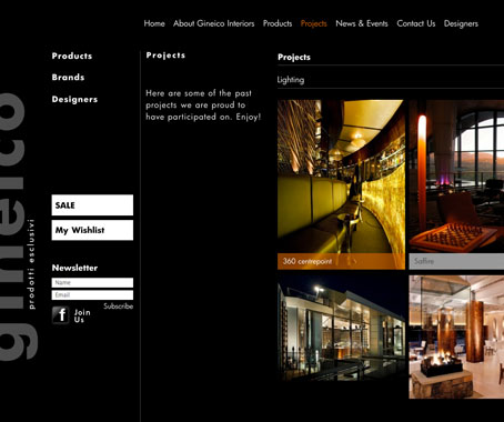 Gineico Launches New Website