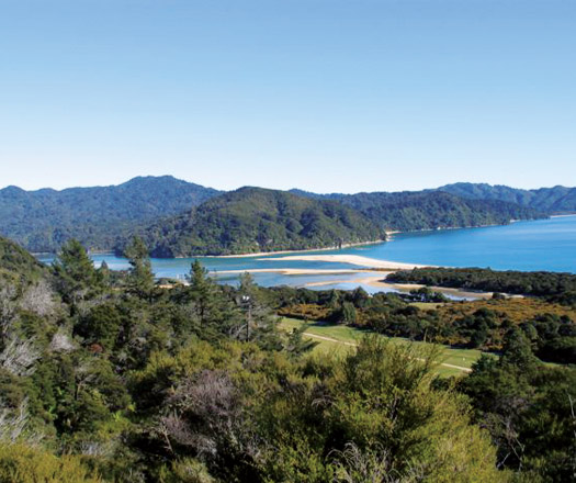 NZ Architecture Master Class